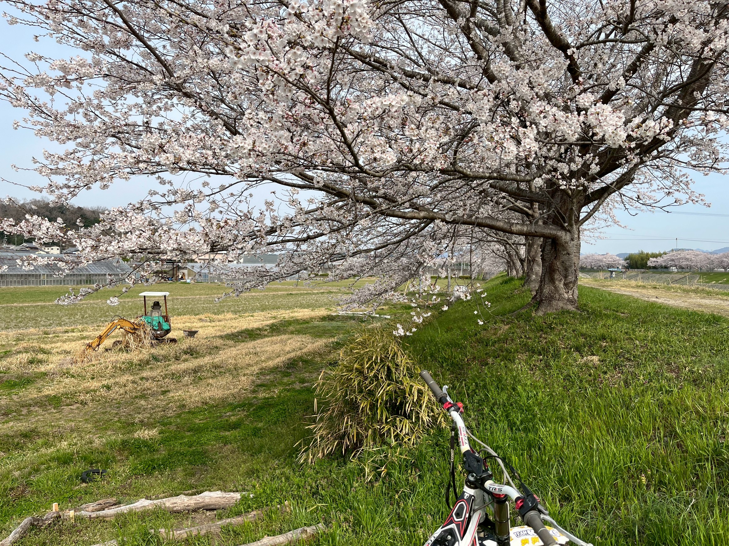 250408_.jpg