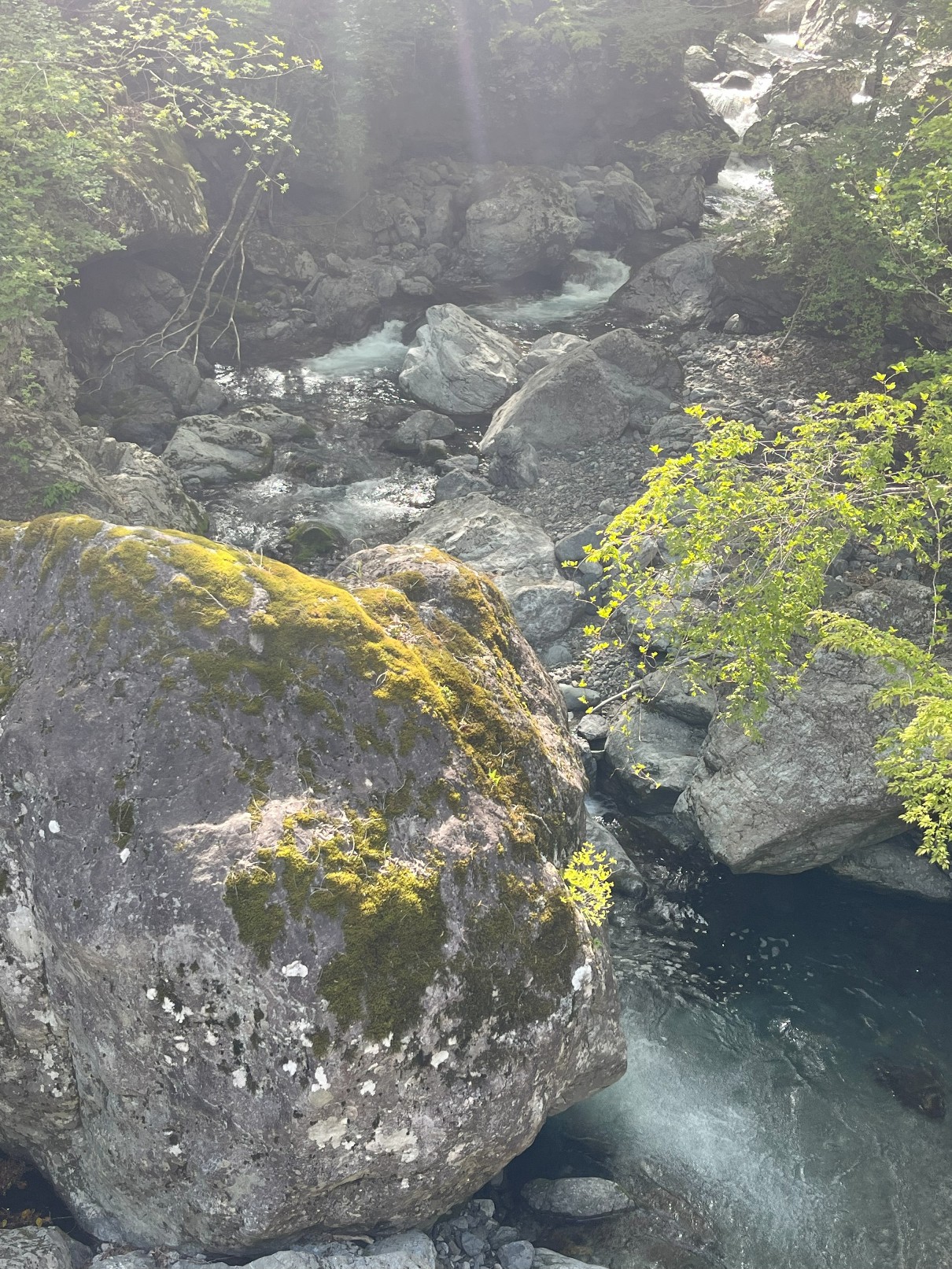 徳島、水がめっちゃきれいでした♪・・・